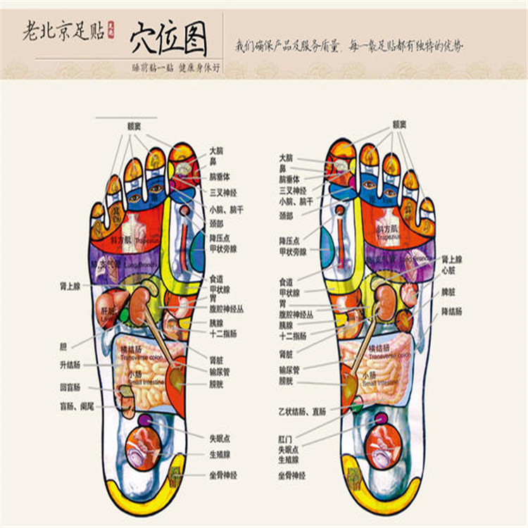 艾草足贴批发 老北京艾草代理 足贴招商