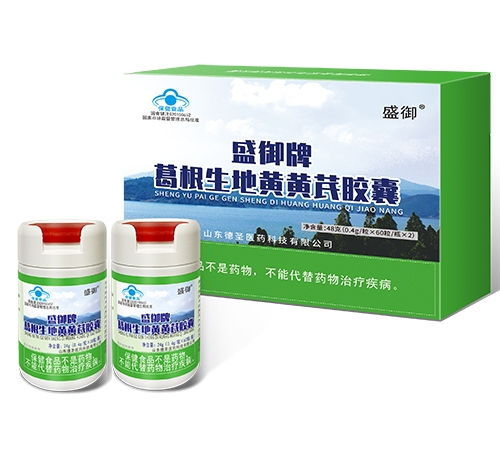 ʢ���Ƹ�����ػƻ��ν�������_˵����