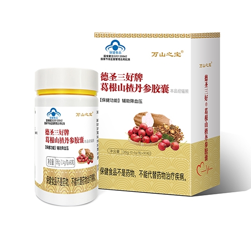 ��ʥ������ ���ɽ髵��ν�������_˵����